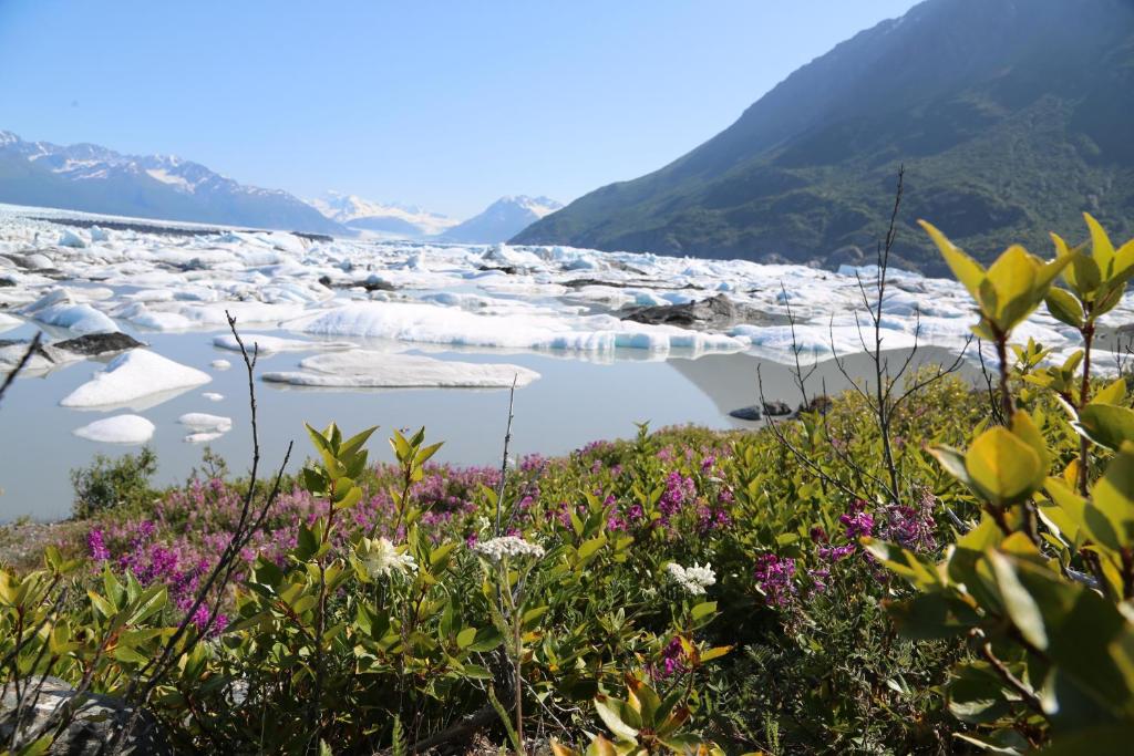 Alaska Glacier Lodge photo