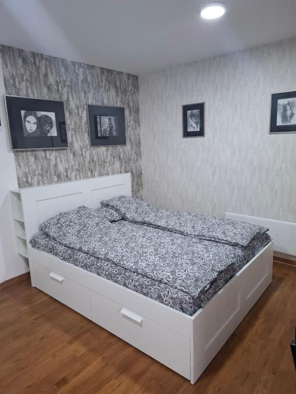 Apartman STAR Vrnjačka Banja - 1