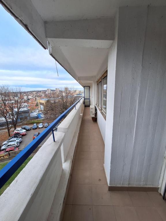 The Medwed Apartment - 3