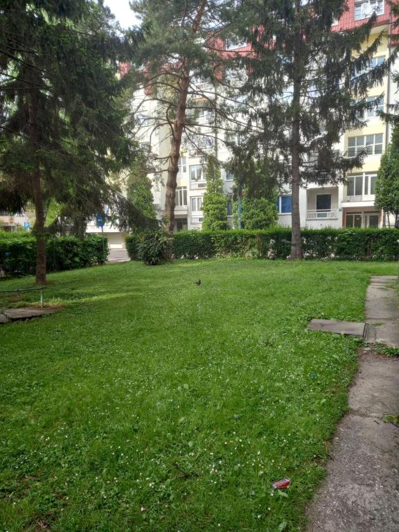 Ajša apartmani - 2