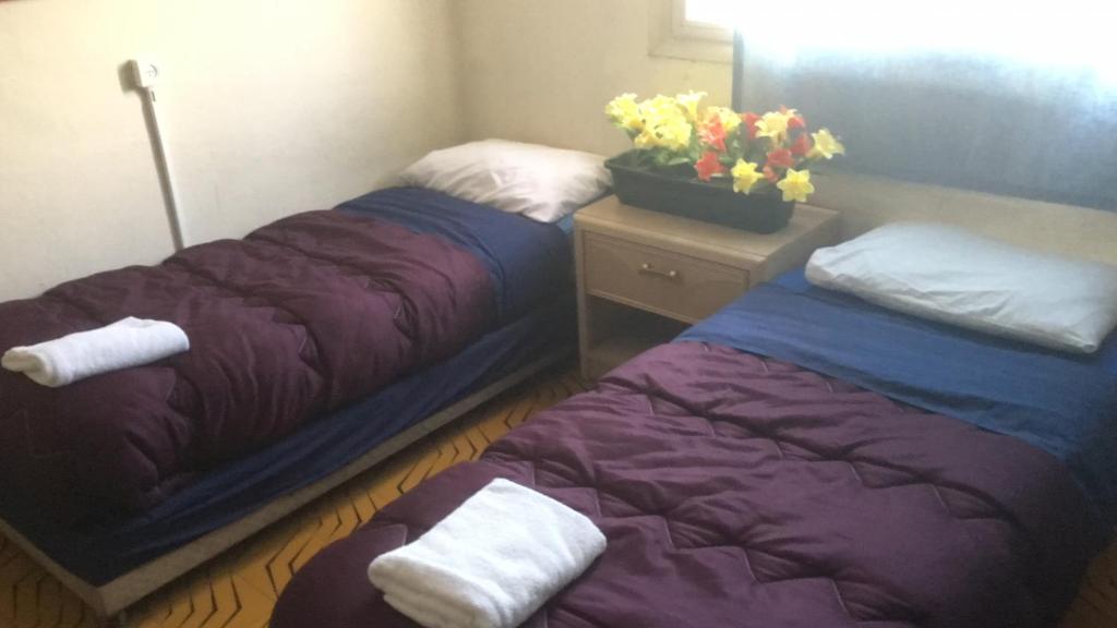 Sky Hostel photo