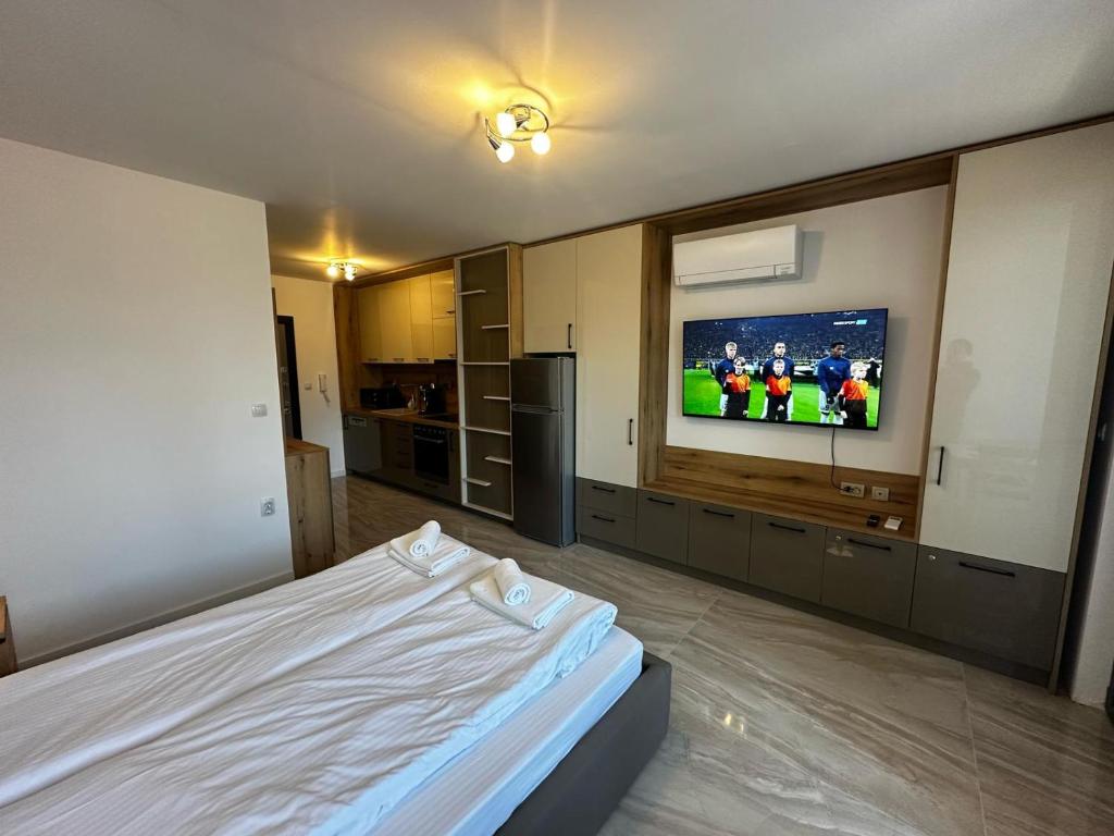 Apartment Aria 4, Velingrad