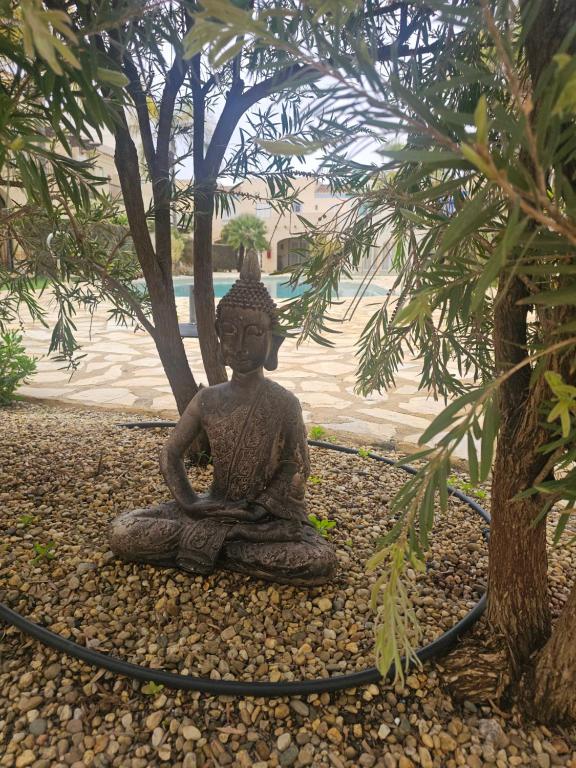 Casita Mare - 5