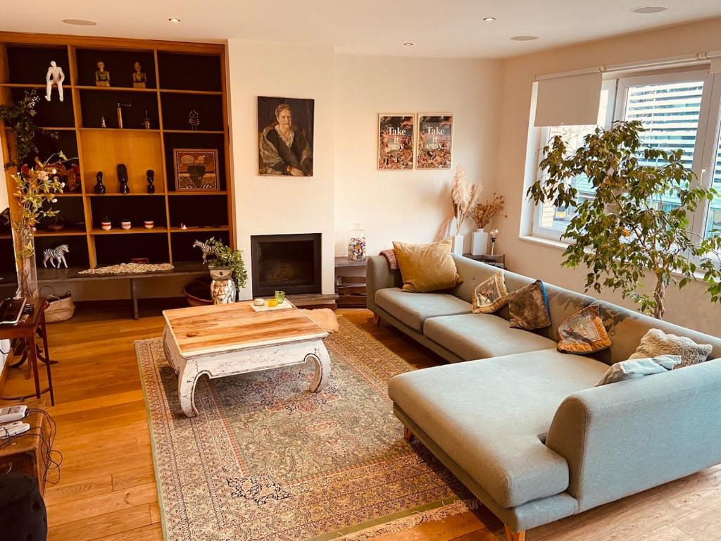 Charming & Spacious Duplex viewing the lovely MAS, Antverpy