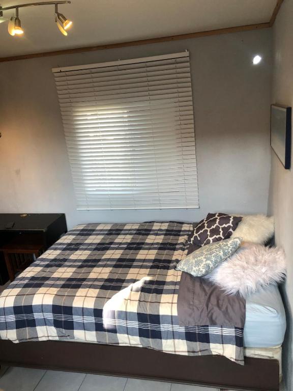 Independent Studio, Tijuana