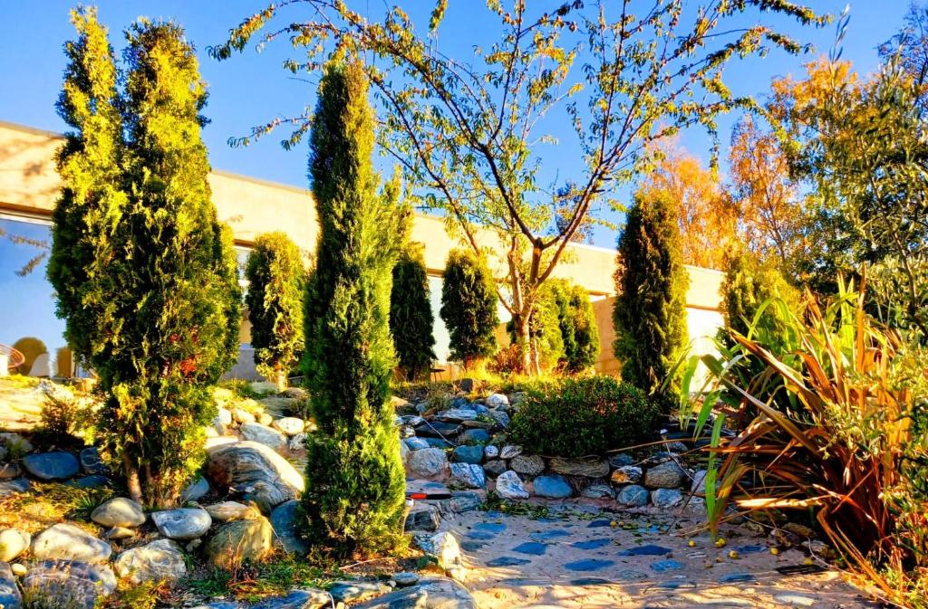 The Hidden Spring, Wanaka