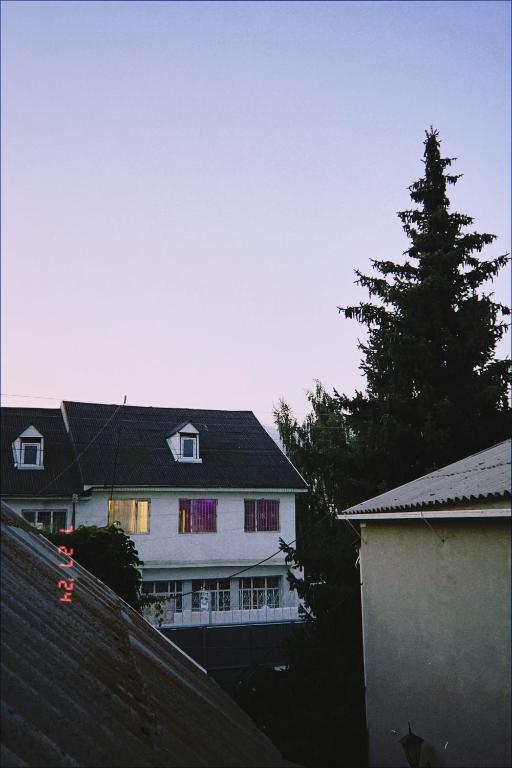 Kosmos 2, Cholpon-Ata