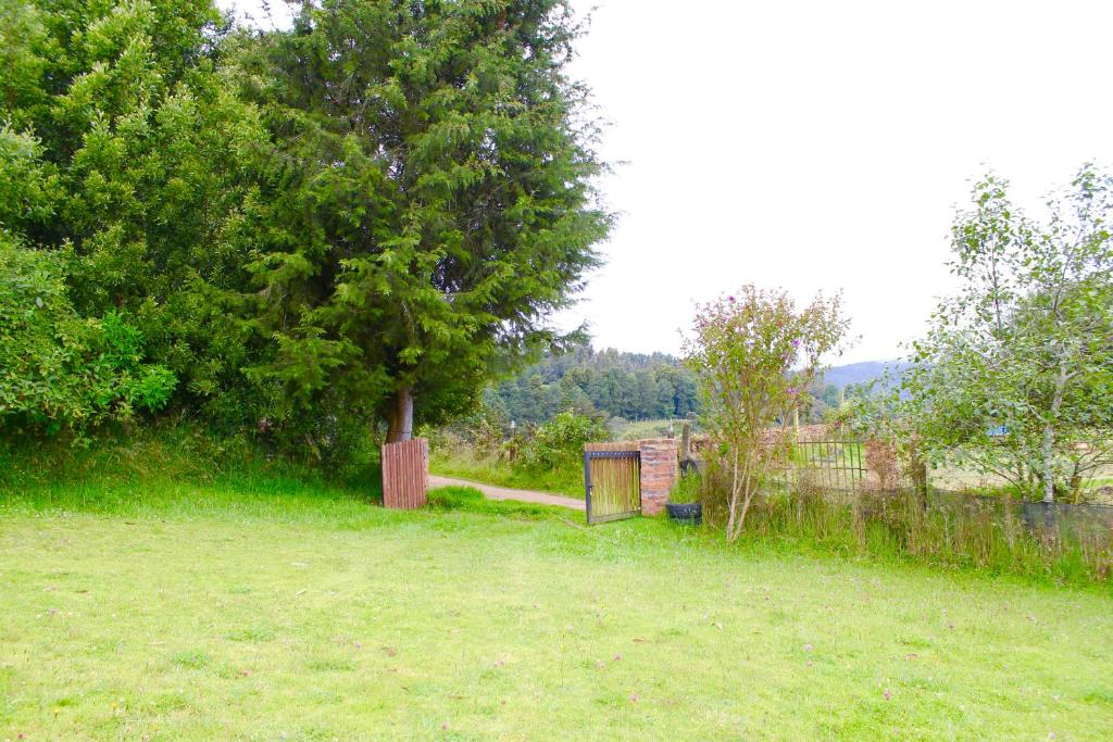 LINDA CABAÑA HERMOSA VISTA NATURALEZa - 5