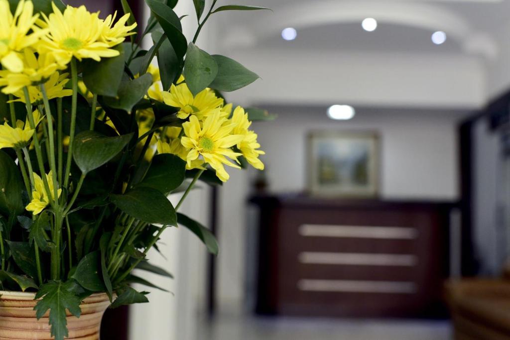 Apartaestudios Granada - 3