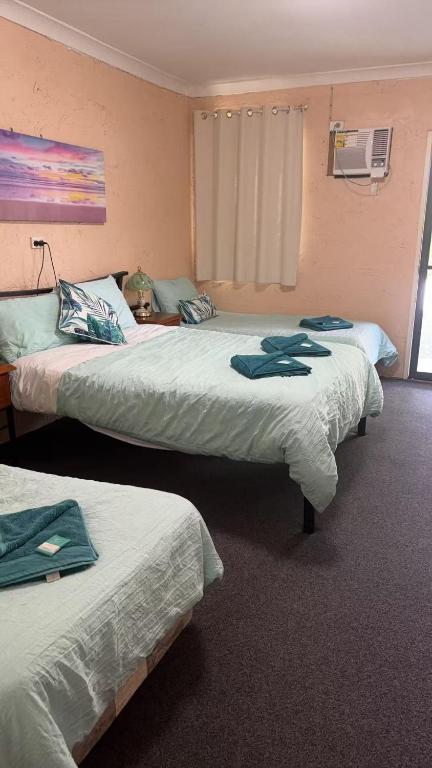 Mt Morgan Motel & Van Park, Ulogie