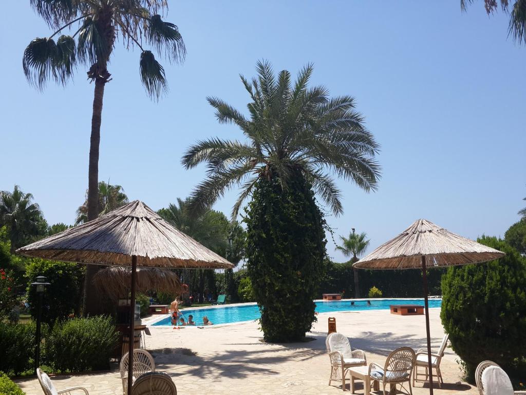 Club Turtas Beach - All Inclusive — Swimming pool in Alanya