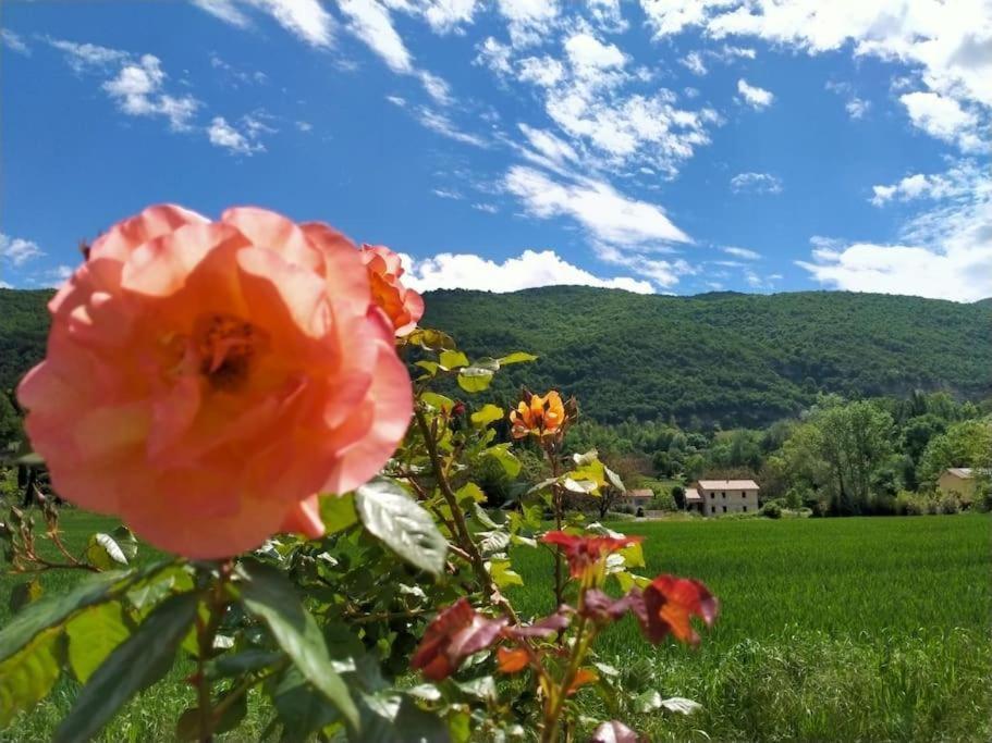 Chambres d'Hôtes & Studio L'Hosting Noix, Hostun