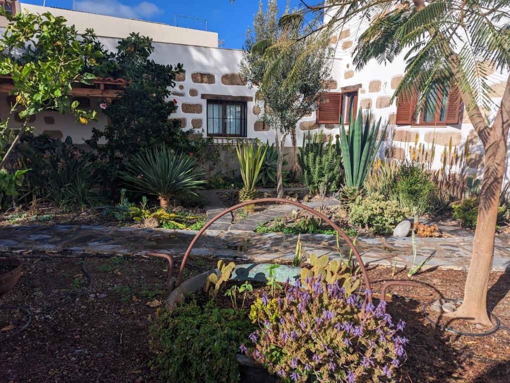 Casa Roberta Aire - 5