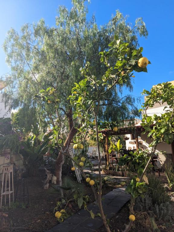 Casa Roberta Aire - 2