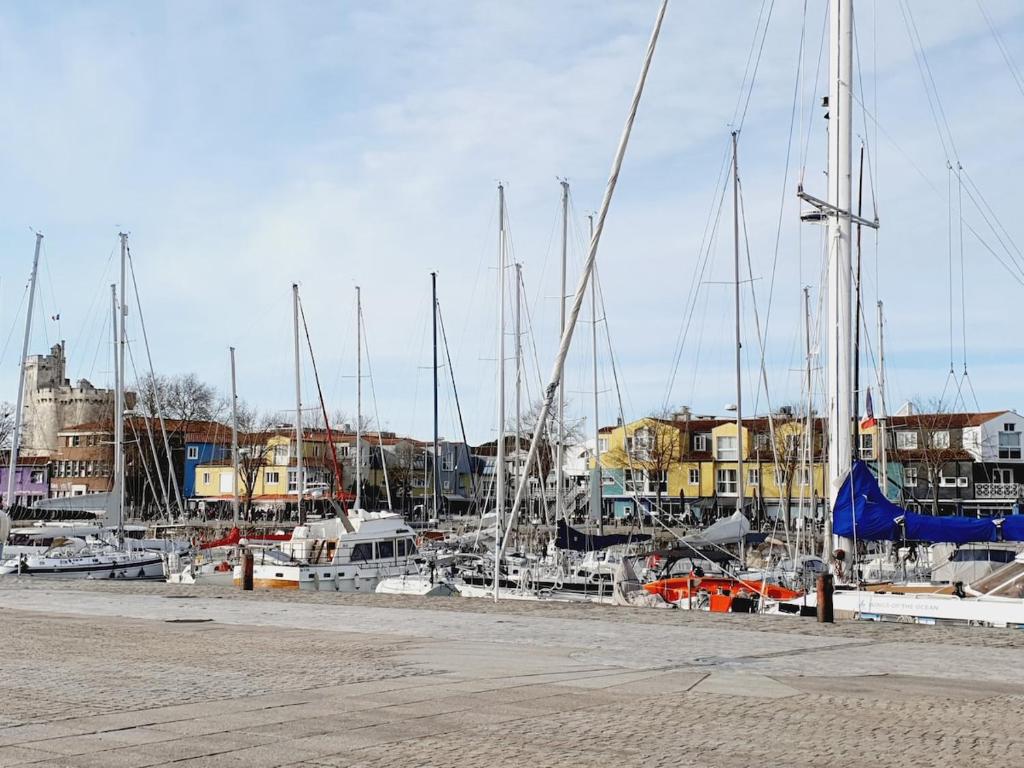 Appartement - La Rochelle - 3