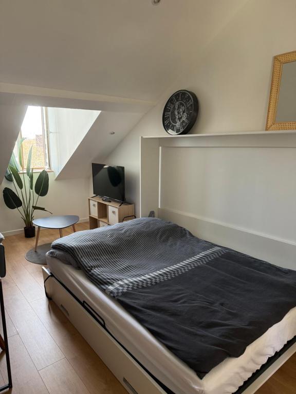 Studio secteur rives de meurthe - 2