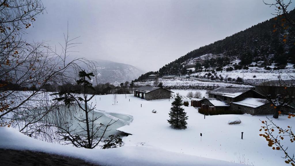 Les Pardines 1819 Mountain suites & SPA - 3