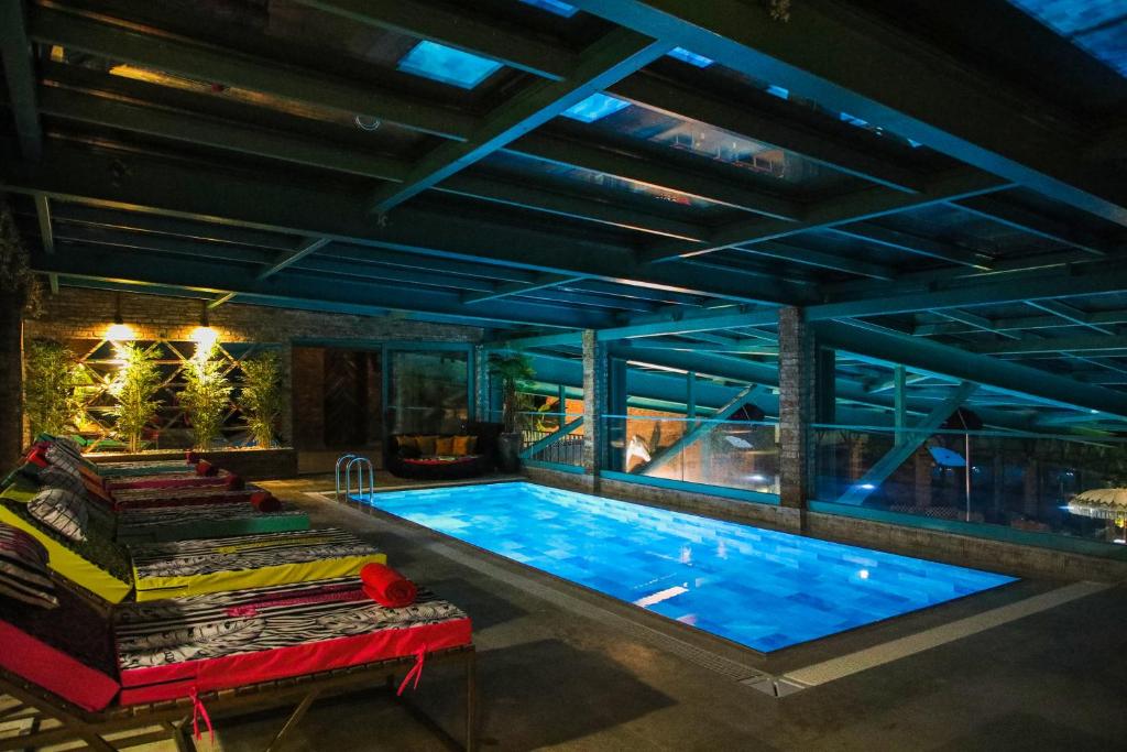 スイミングプール