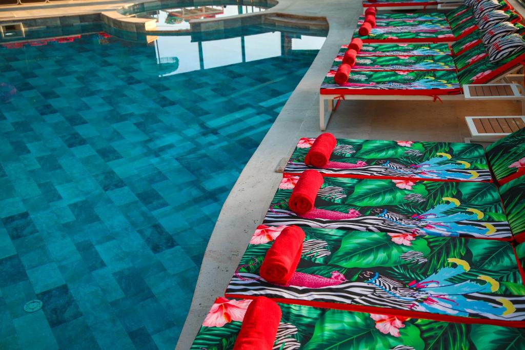 スイミングプール