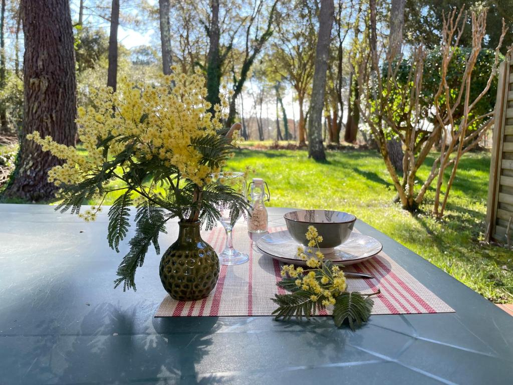 appartement soustons plage - 5