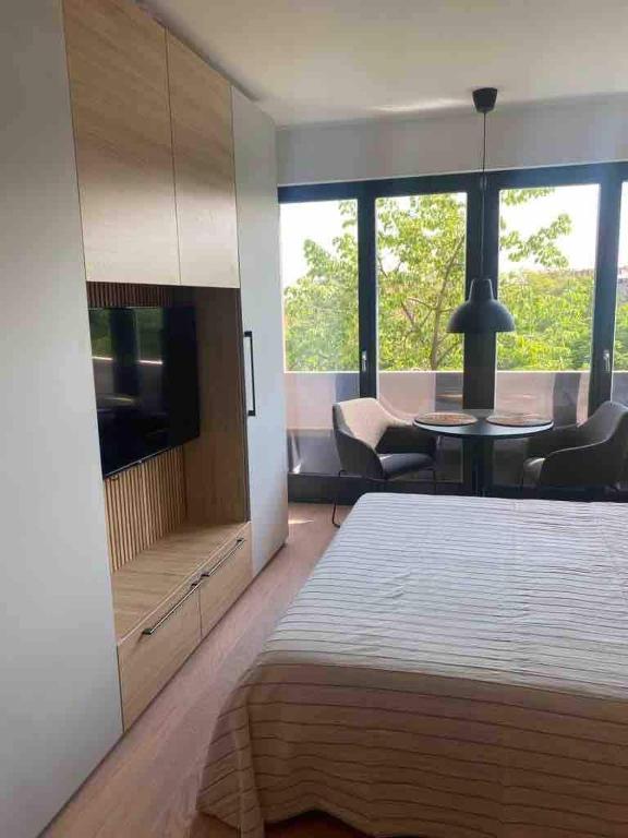 Apartment Cvijiceva - Park view - 3
