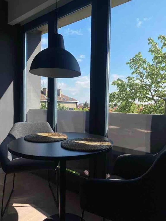 Apartment Cvijiceva - Park view - 5