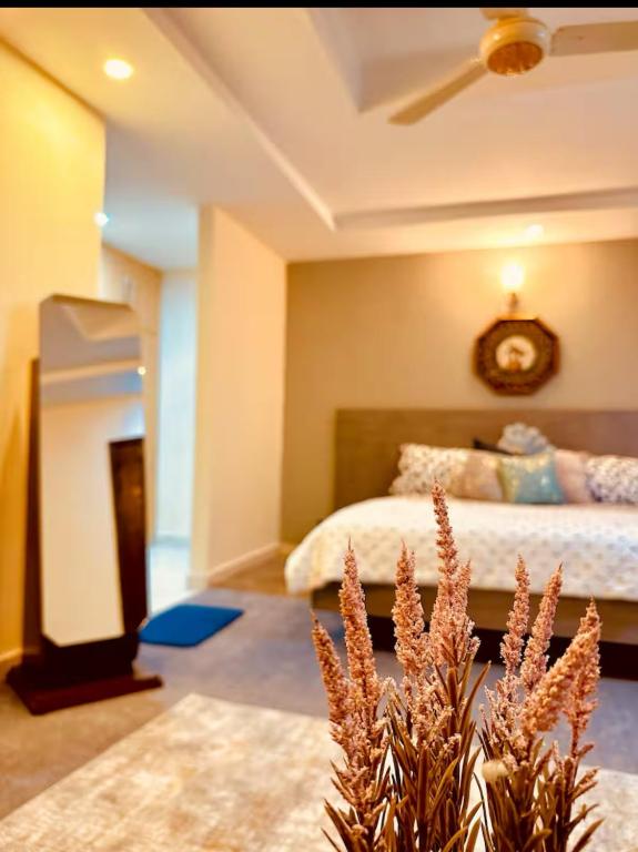 Capitalin, Islámábád