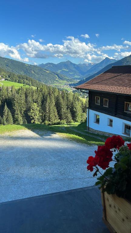 Bauernhütte Niedermaisgut - 4