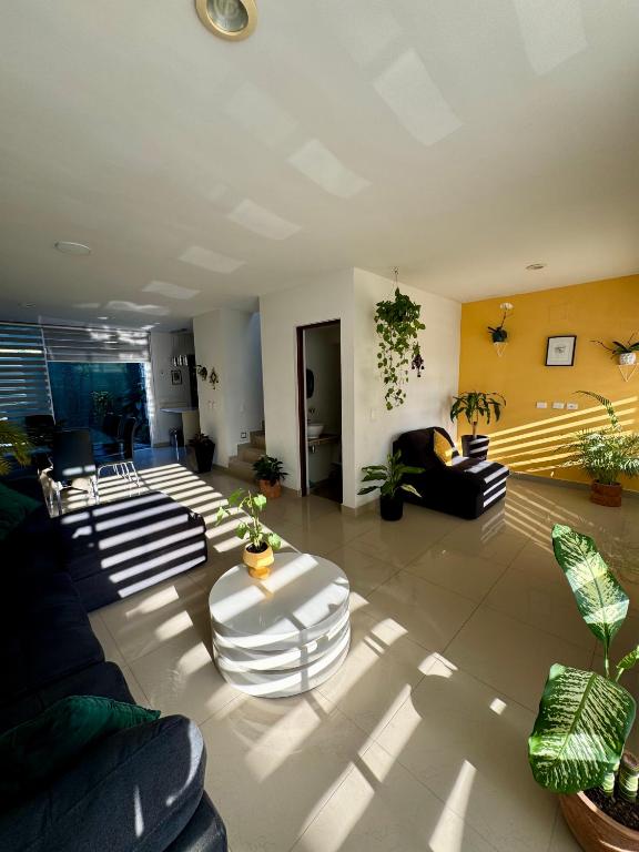 Casa Residencial la Primavera - 1