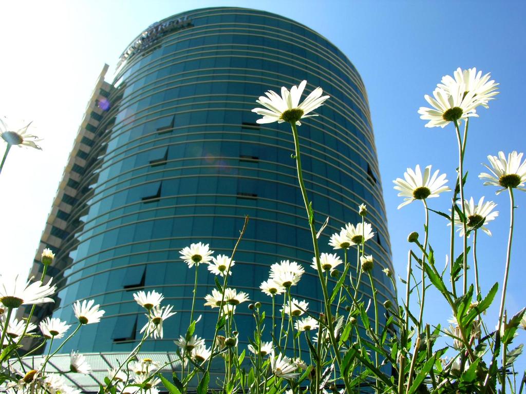 Suites Camino Real — Hotel in La Paz