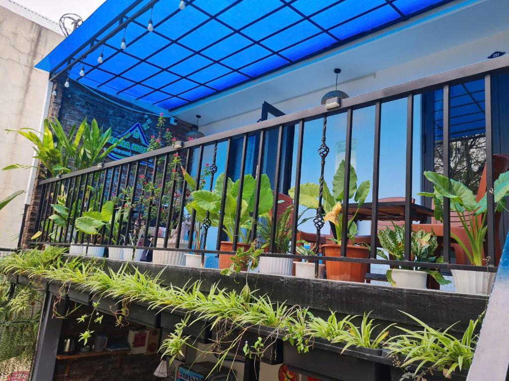 Banana homestay( Chuoi Homestay)