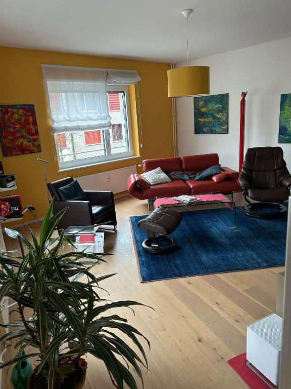 ESC-Basel-Flat - Whole rent to save our MUSICAL THEATER BASEL, Basilej