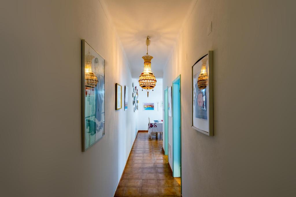 CASA DO TANQUE AMARELO by Stay in Alentejo 전경