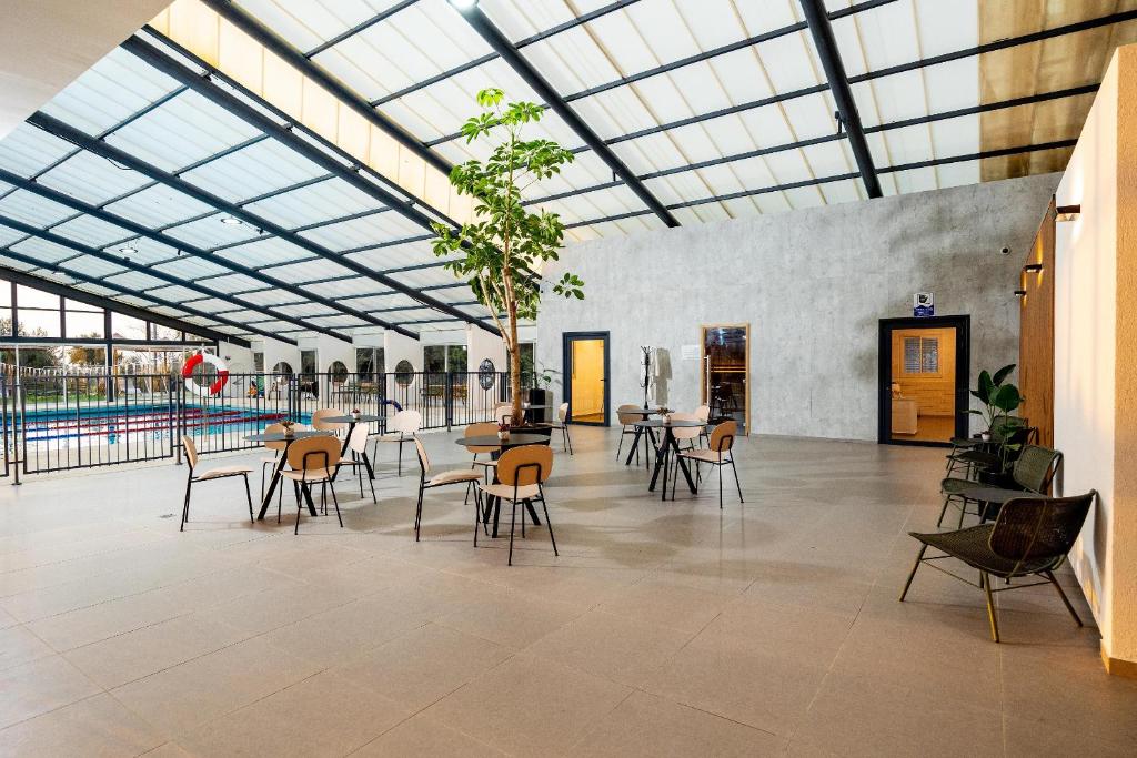 Cホテル ネーヴ イラン (C Hotel Neve Ilan) スイミングプール