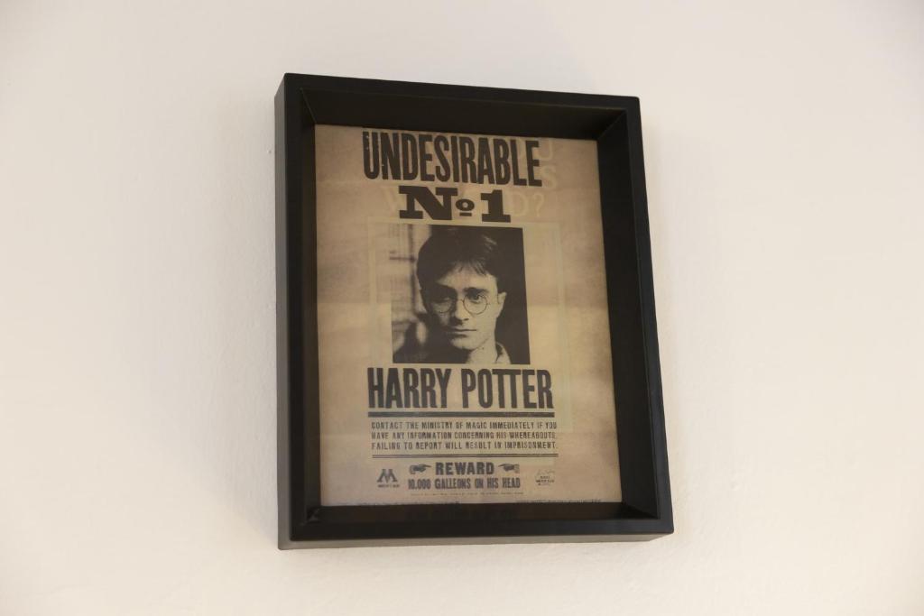 Casa Harry Potter - 3
