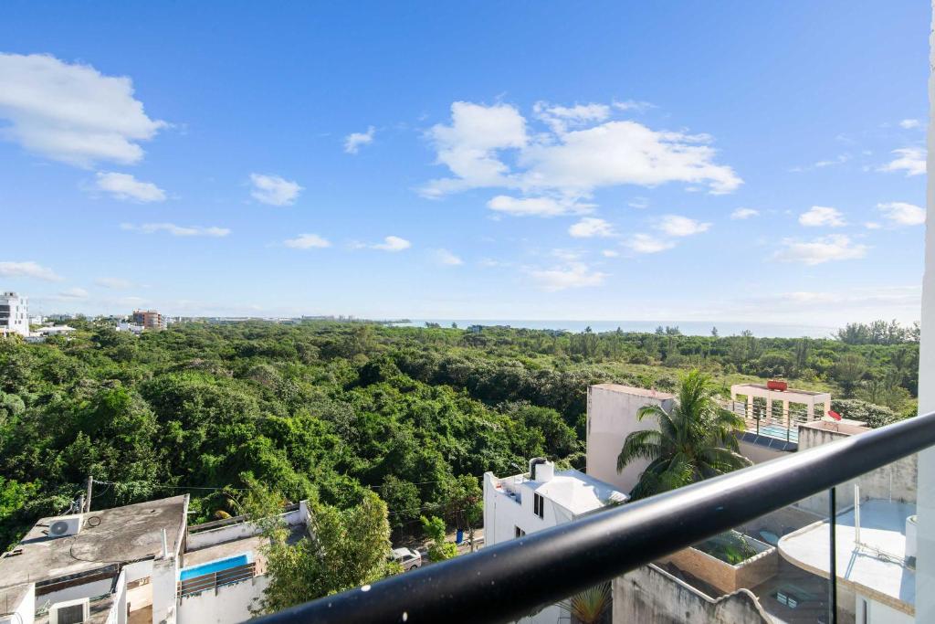 Suite Jungle Studio with Views Walk Everywhere - 4