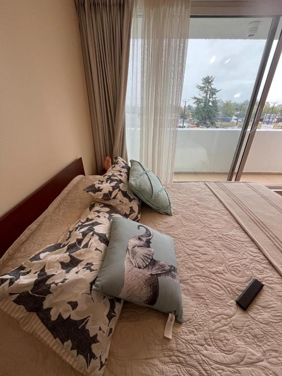 Exclusivo departamento en OSORNO - 3