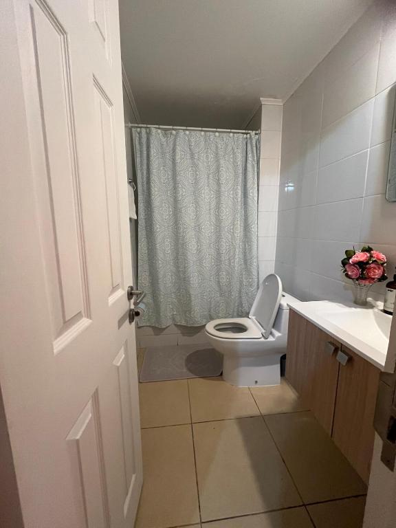 Exclusivo departamento en OSORNO - 5