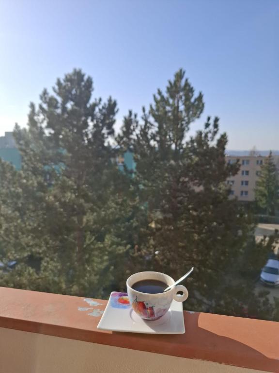 Apartamento playa Canteras y piscina - 2