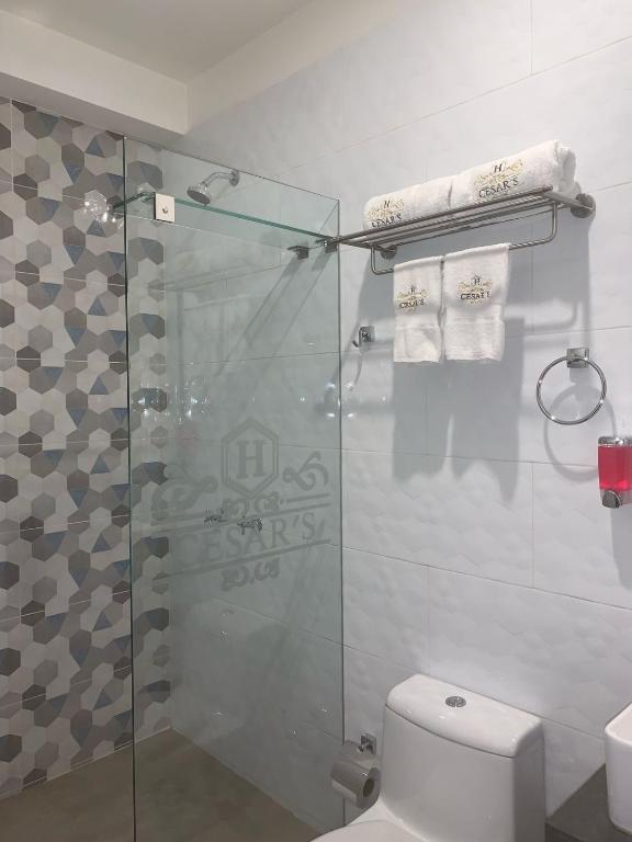 Cesars Hotel Lima - 5