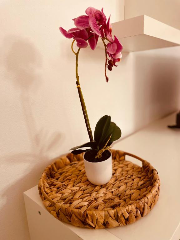 CarLuccia Apartment - 5