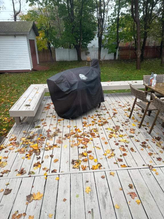 Main Floor of a House, St. John's