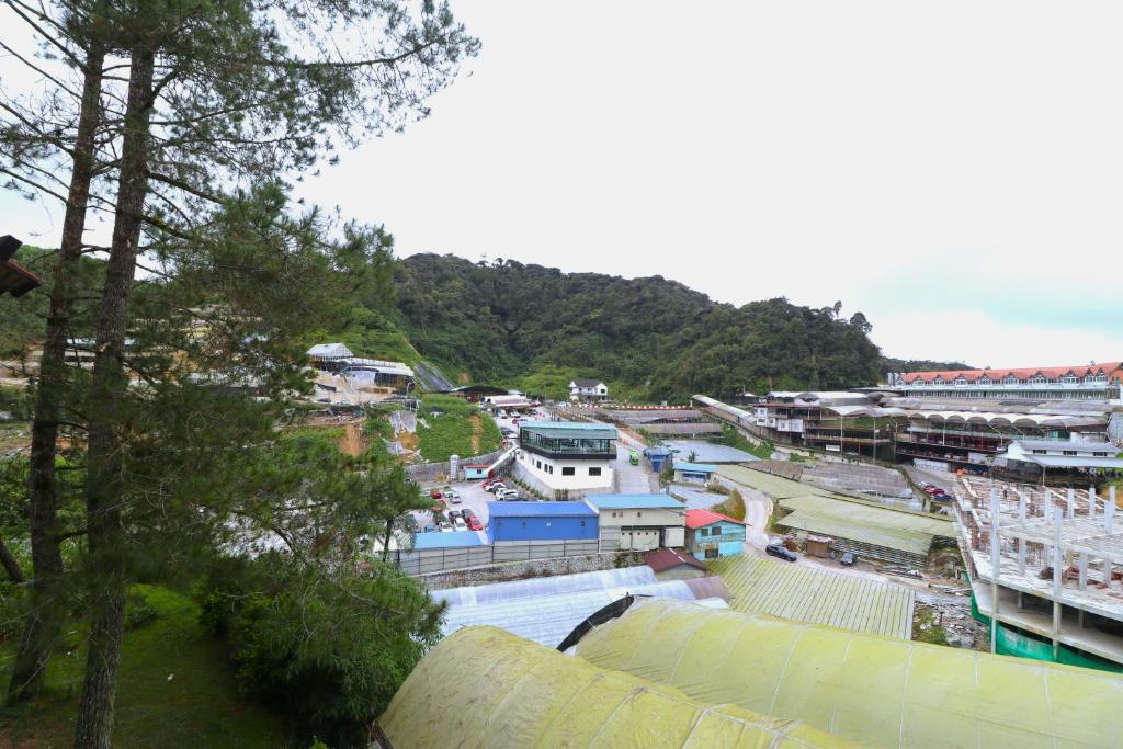 View