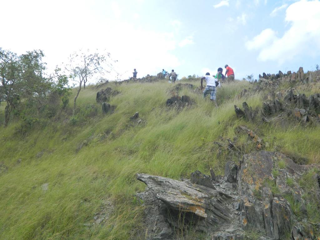 スポーツ/アクティビティ