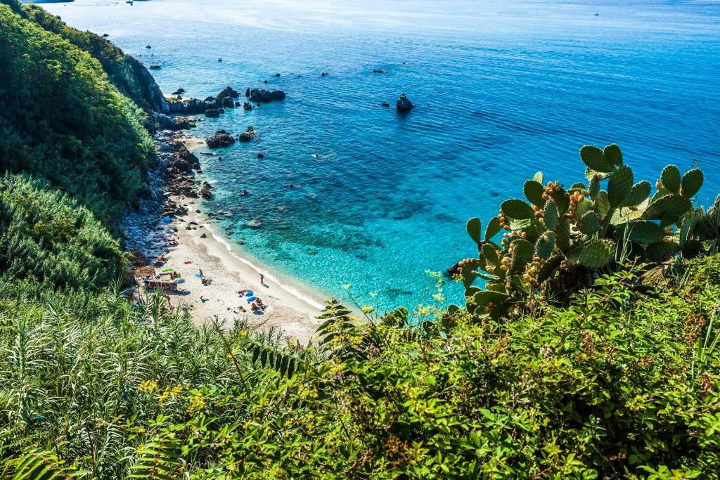 A Due Passi da MicheIino, Parghelia