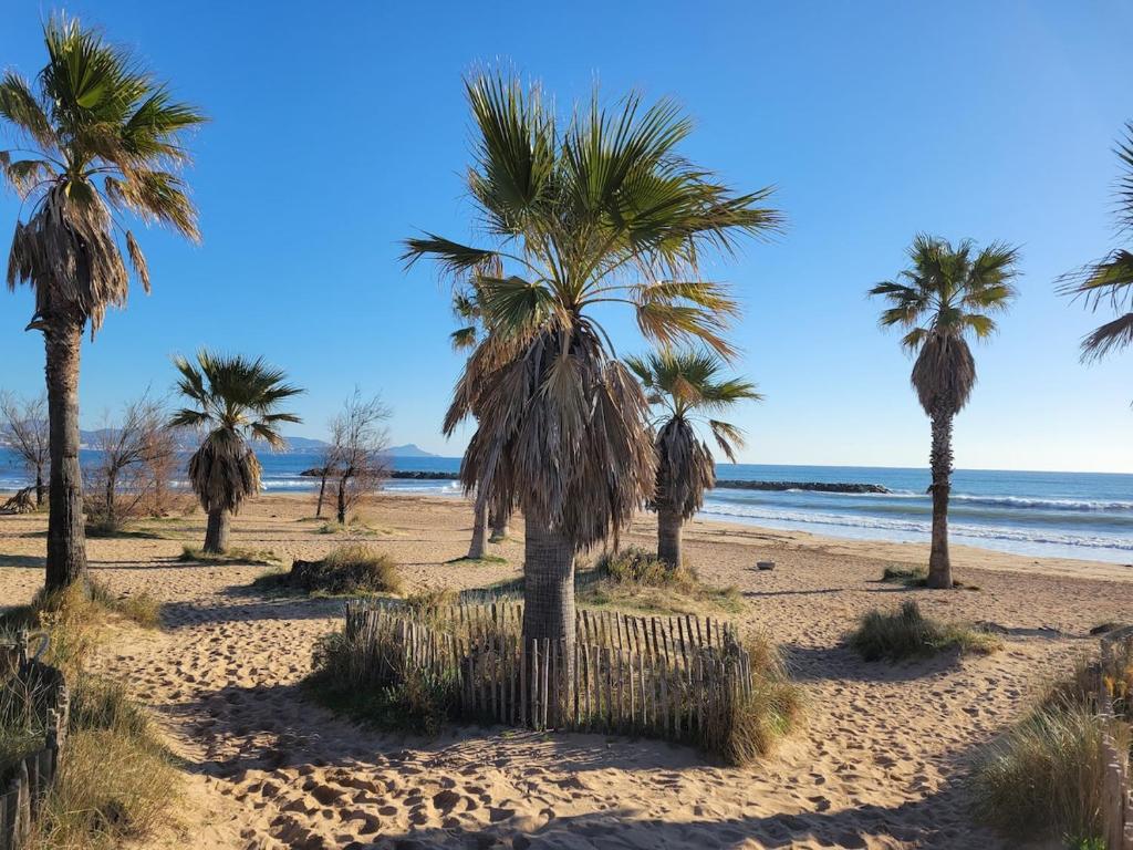 Le Duplex de la Mer, vue magnifique, accès plage - 3