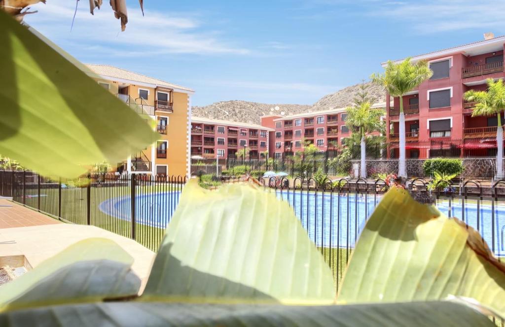 1 bedroom apartment Gabry in Palmar - 3
