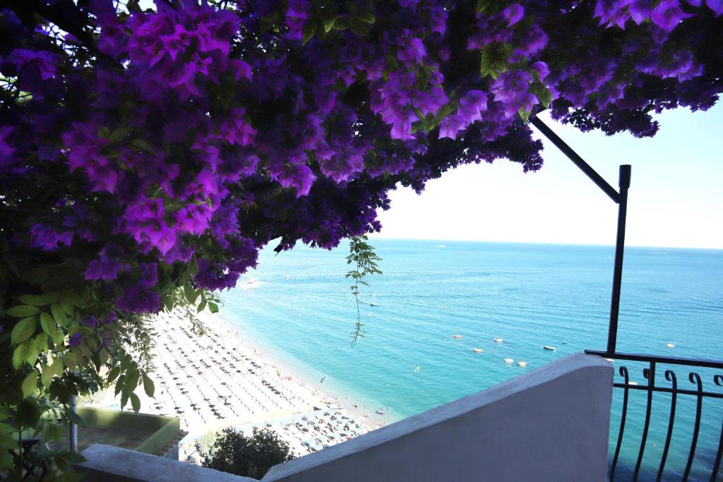 Villa Alessandra - 2