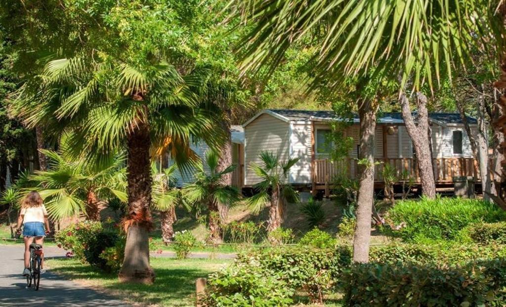 Mobil-home 6 pers, tout confort Clim, piscine & animations - 4
