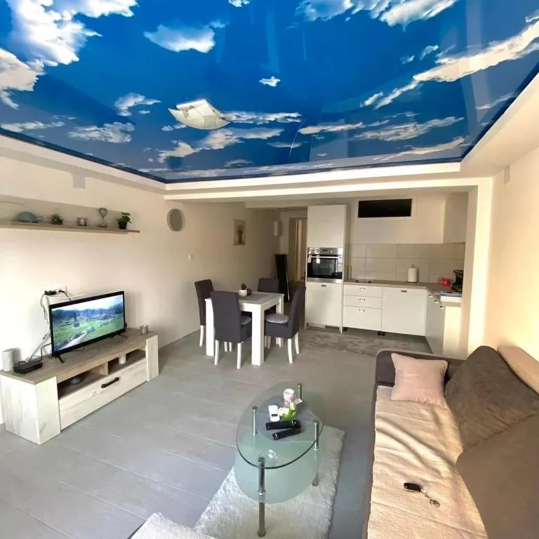 Apartmani VRELO，位于克拉西奇的酒店